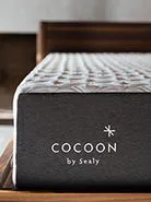 Cocoon by Sealy